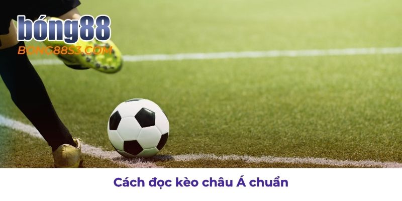 Hướng dẫn đọc kèo châu Á dễ hiểu và chính xác