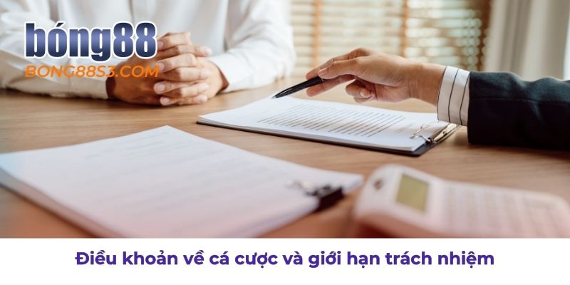 Điều khoản điều kiện cá cược và giới hạn trách nhiệm trong các hoạt động