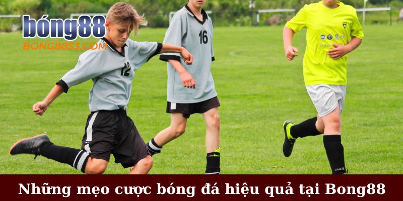 Những mẹo cược bóng đá hiệu quả tại Bong88
