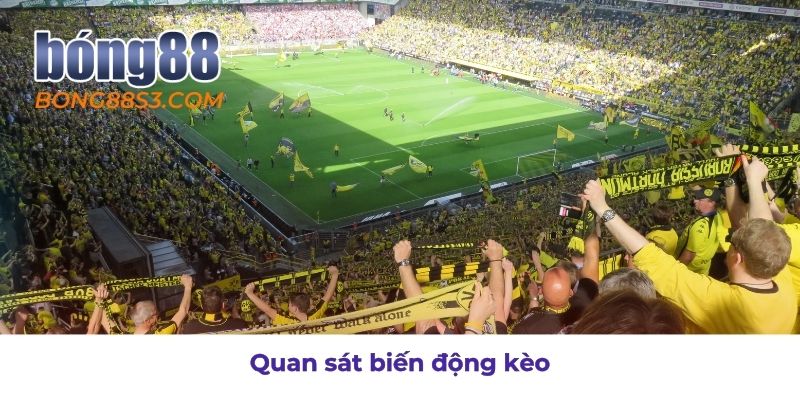 Theo dõi biến động kèo để bắt kèo chính xác hơn
