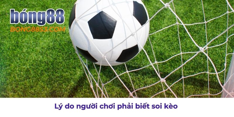 Tại sao người chơi cần hiểu rõ kỹ năng soi kèo
