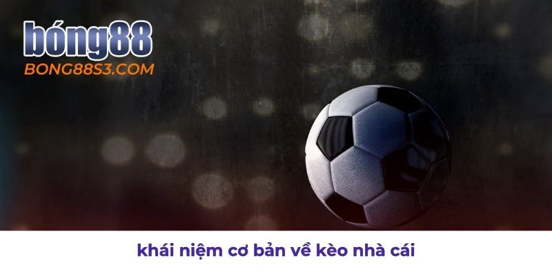 Tìm hiểu tỷ lệ kèo nhà cái là gì và những khái niệm cơ bản